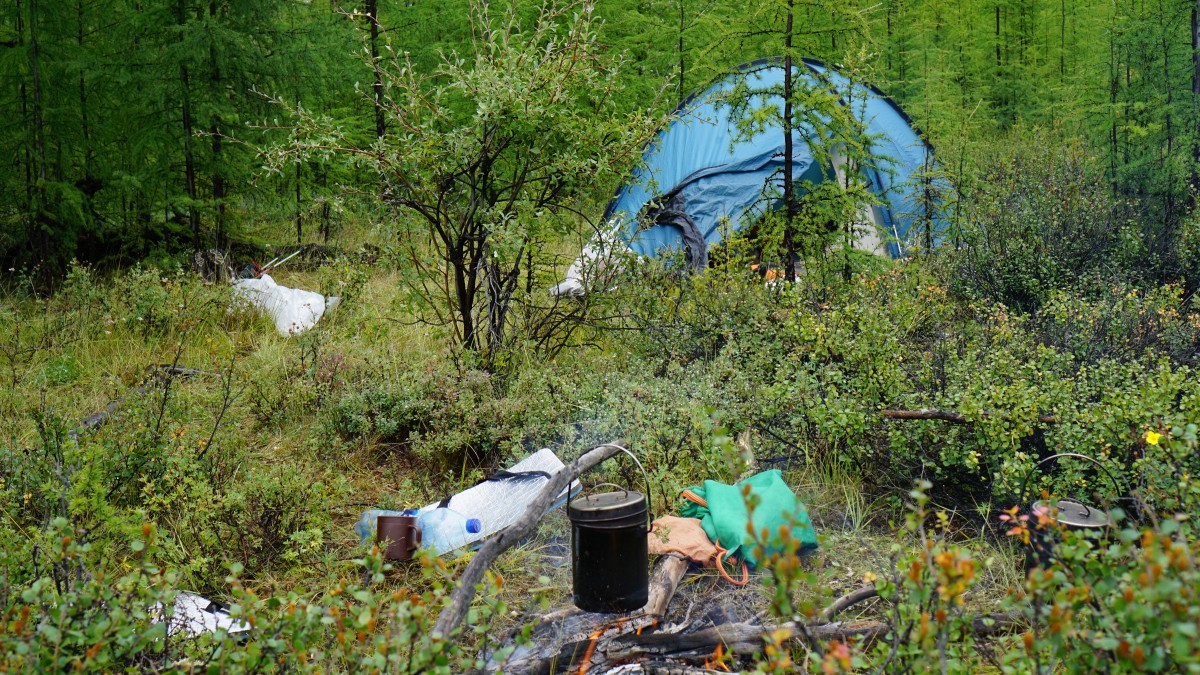 DSC00183 [Оригинальный размер].jpg