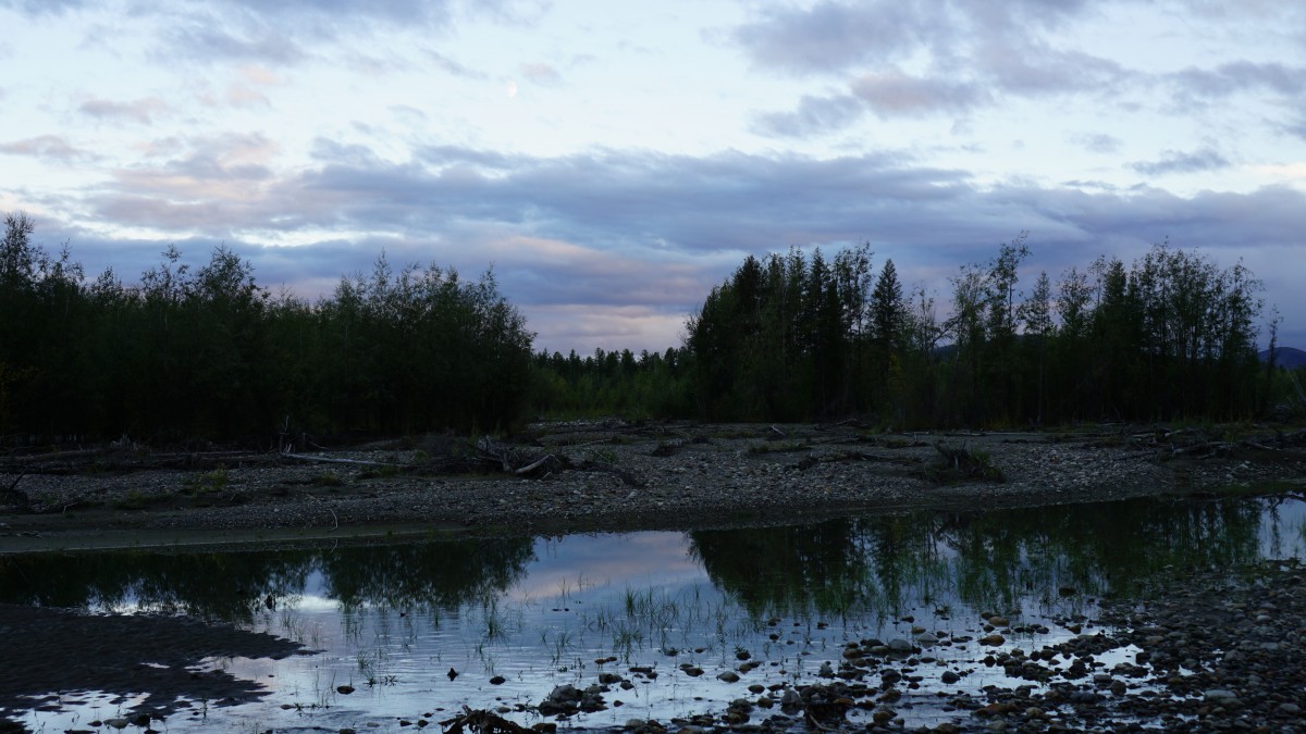 DSC00194 [Оригинальный размер].jpg