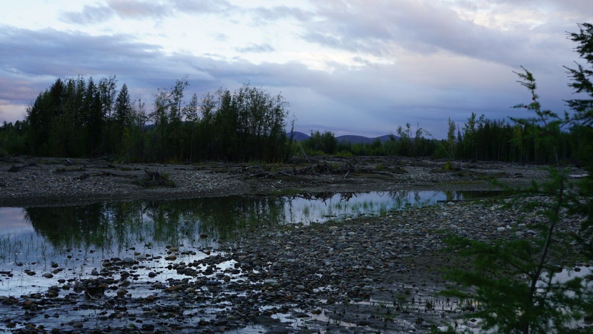 DSC00195 [Оригинальный размер].jpg