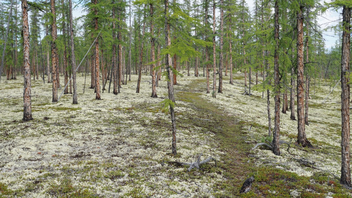 DSC00203 [Оригинальный размер].jpg