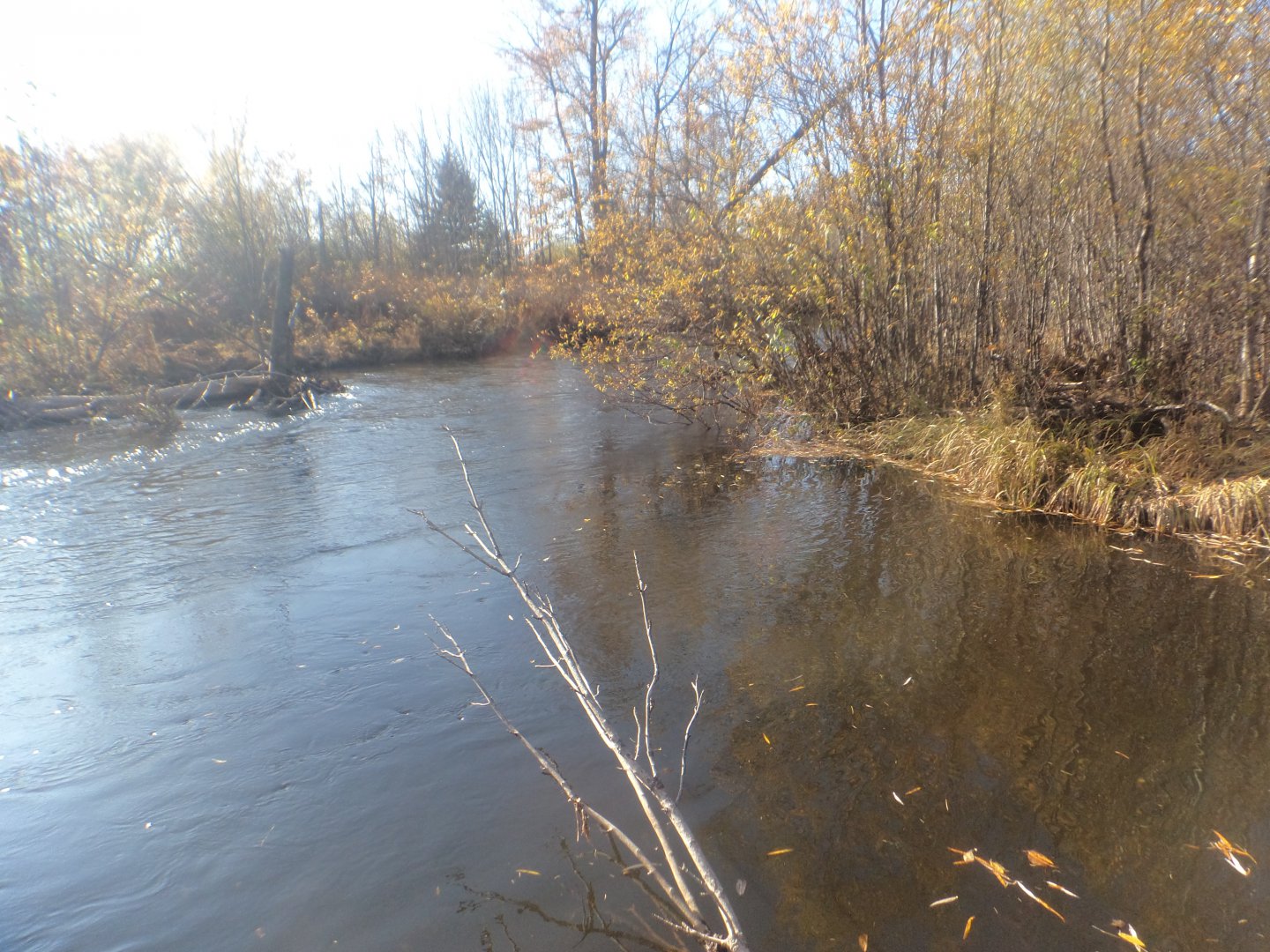 DSC00211.JPG