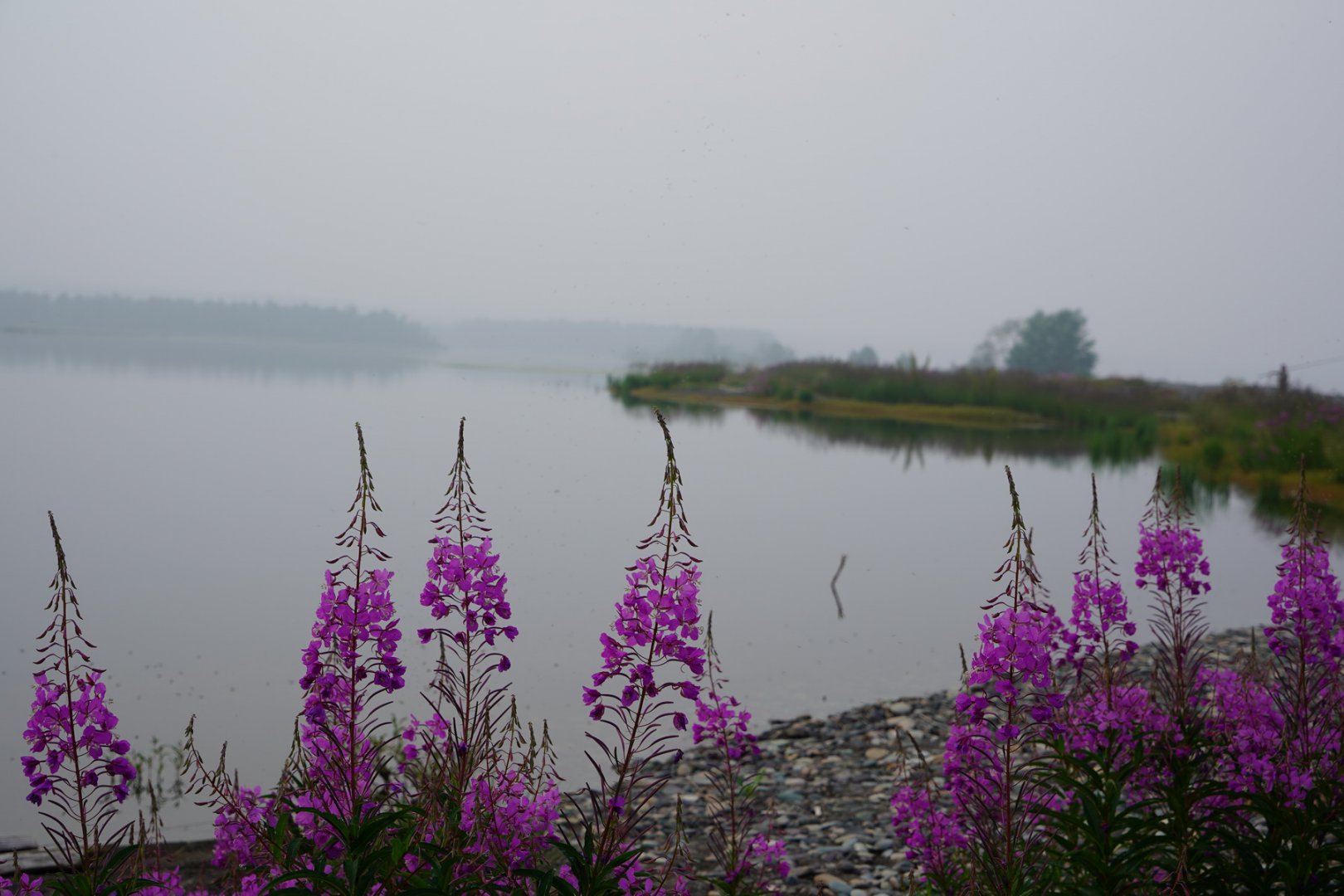 DSC00212_новый размер.JPG