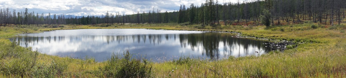 DSC00215 [Оригинальный размер].jpg