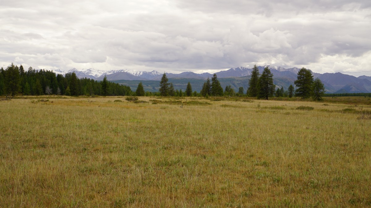 DSC00220 [Оригинальный размер].jpg
