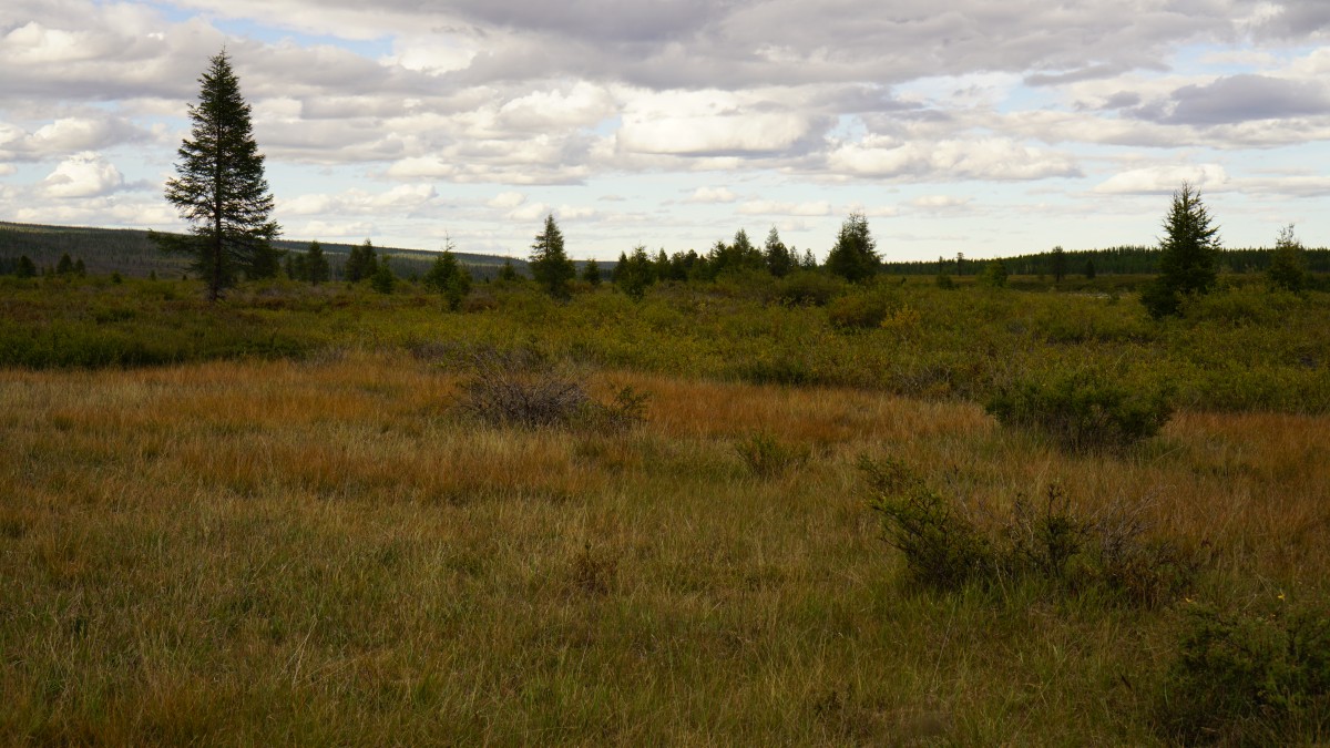 DSC00221 [Оригинальный размер].jpg