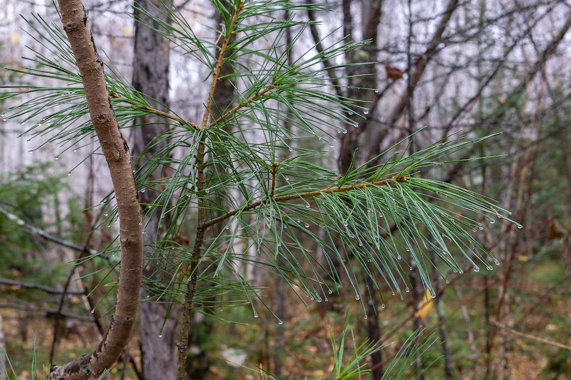 DSC00234.jpg