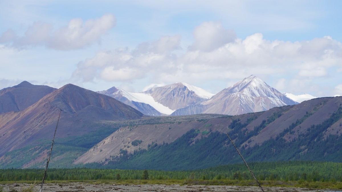 DSC00239 [Оригинальный размер].jpg