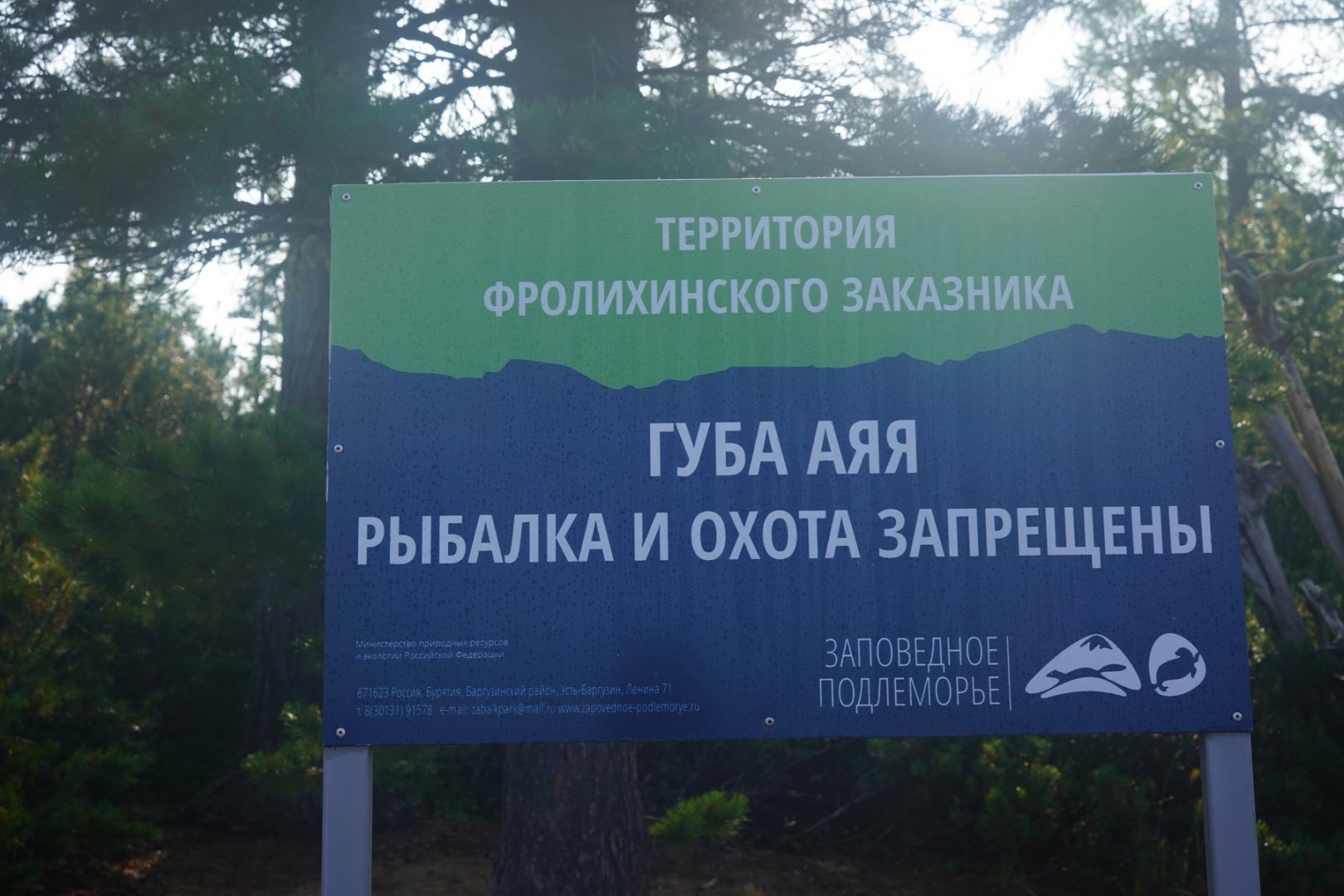 DSC00242_новый размер.JPG