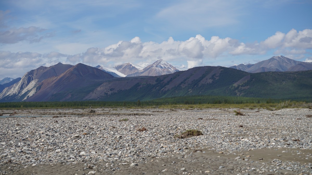 DSC00249 [Оригинальный размер].jpg