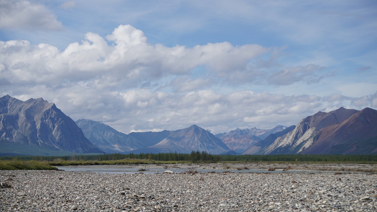 DSC00252 [Оригинальный размер].jpg