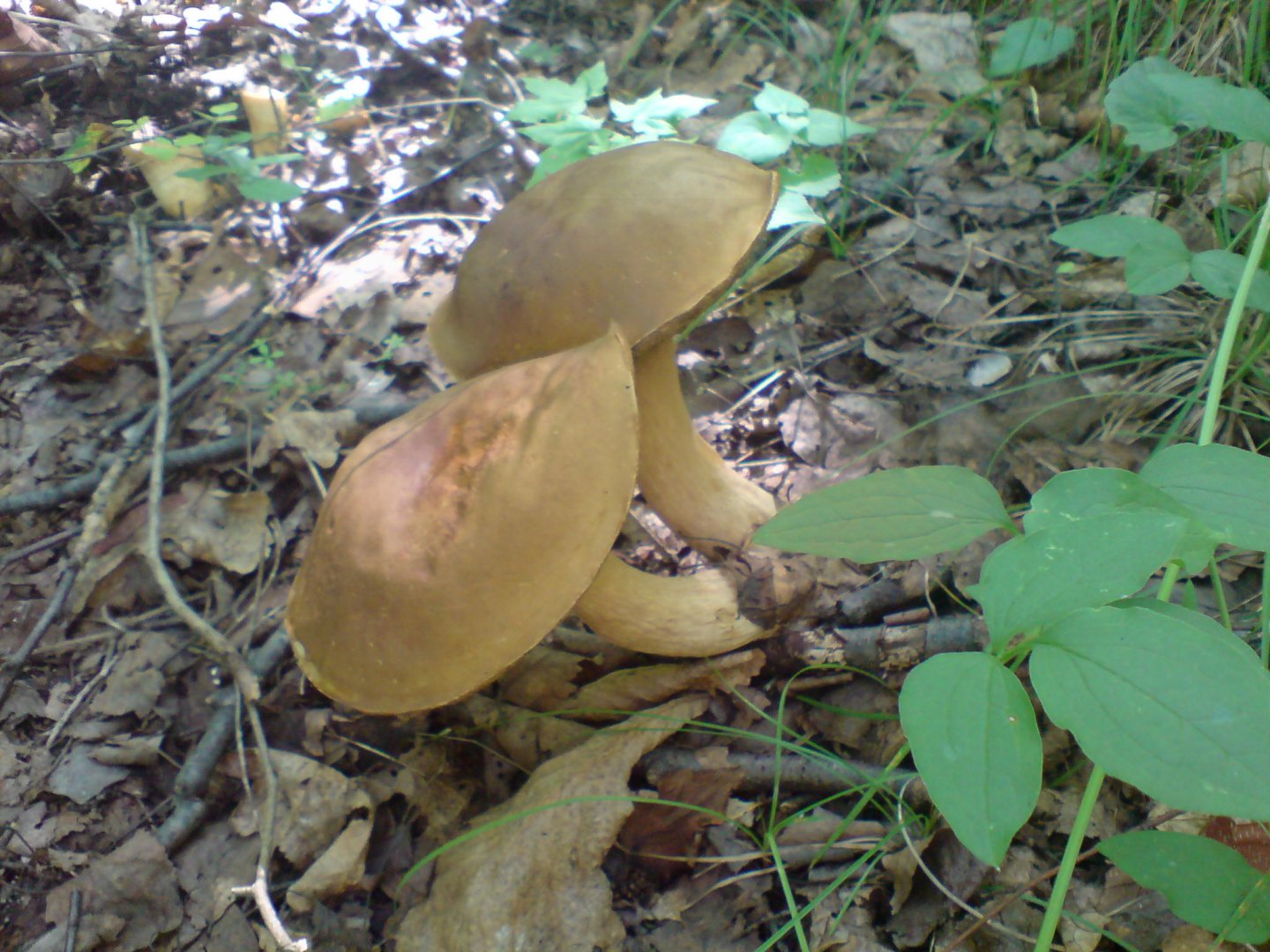 DSC00255.JPG