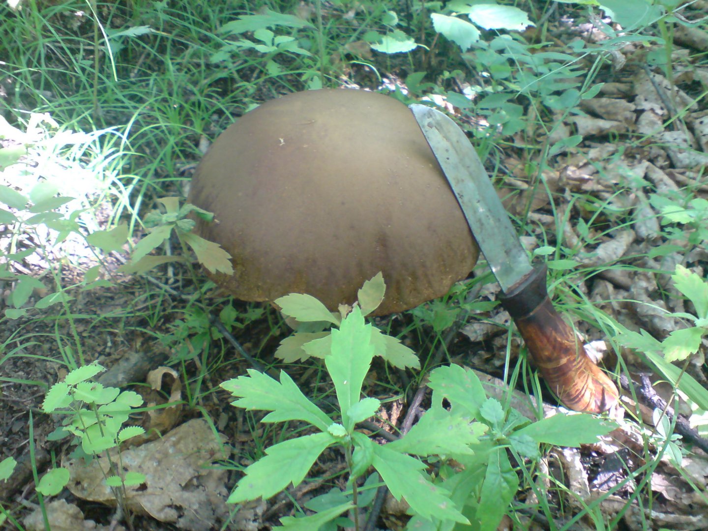DSC00257.JPG