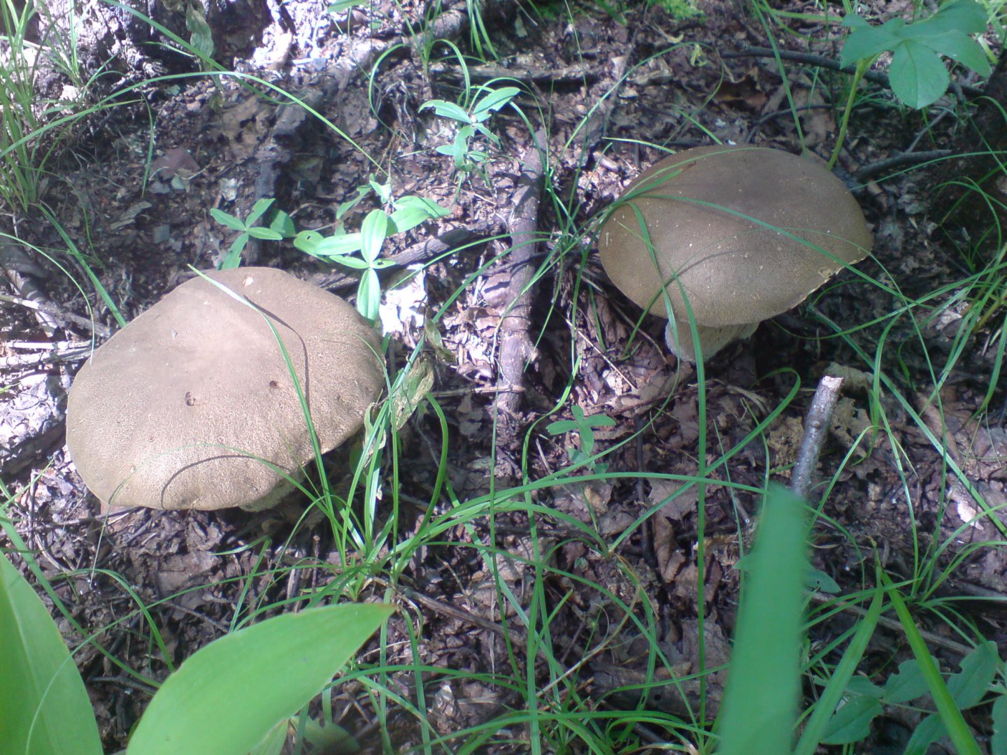 DSC00258.JPG