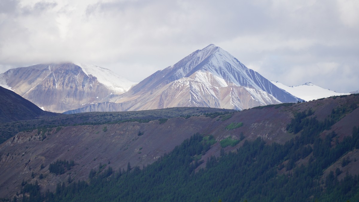 DSC00260 [Оригинальный размер].jpg