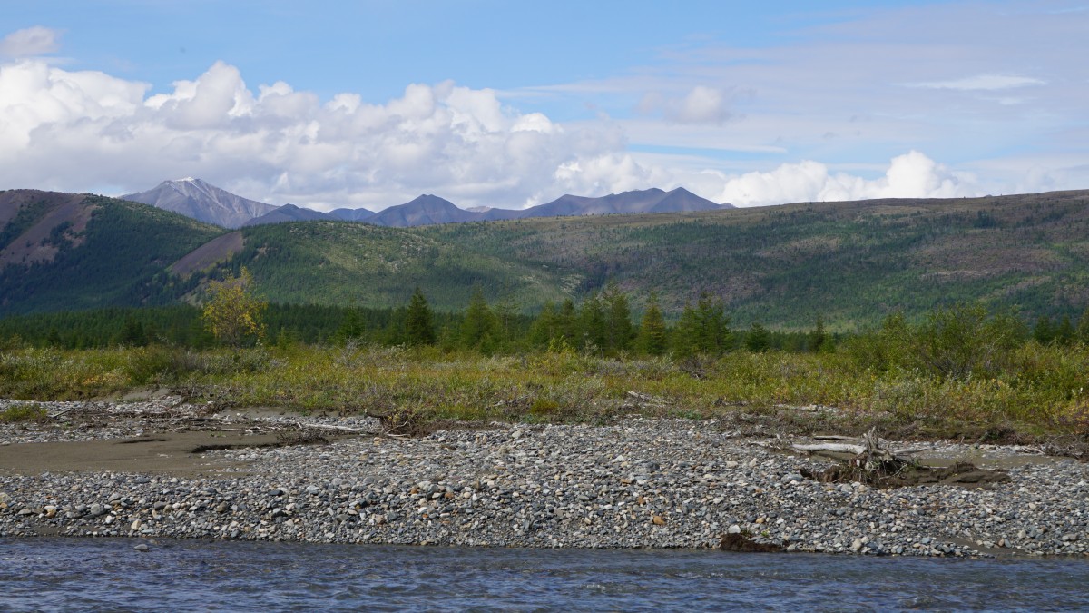 DSC00262 [Оригинальный размер].jpg