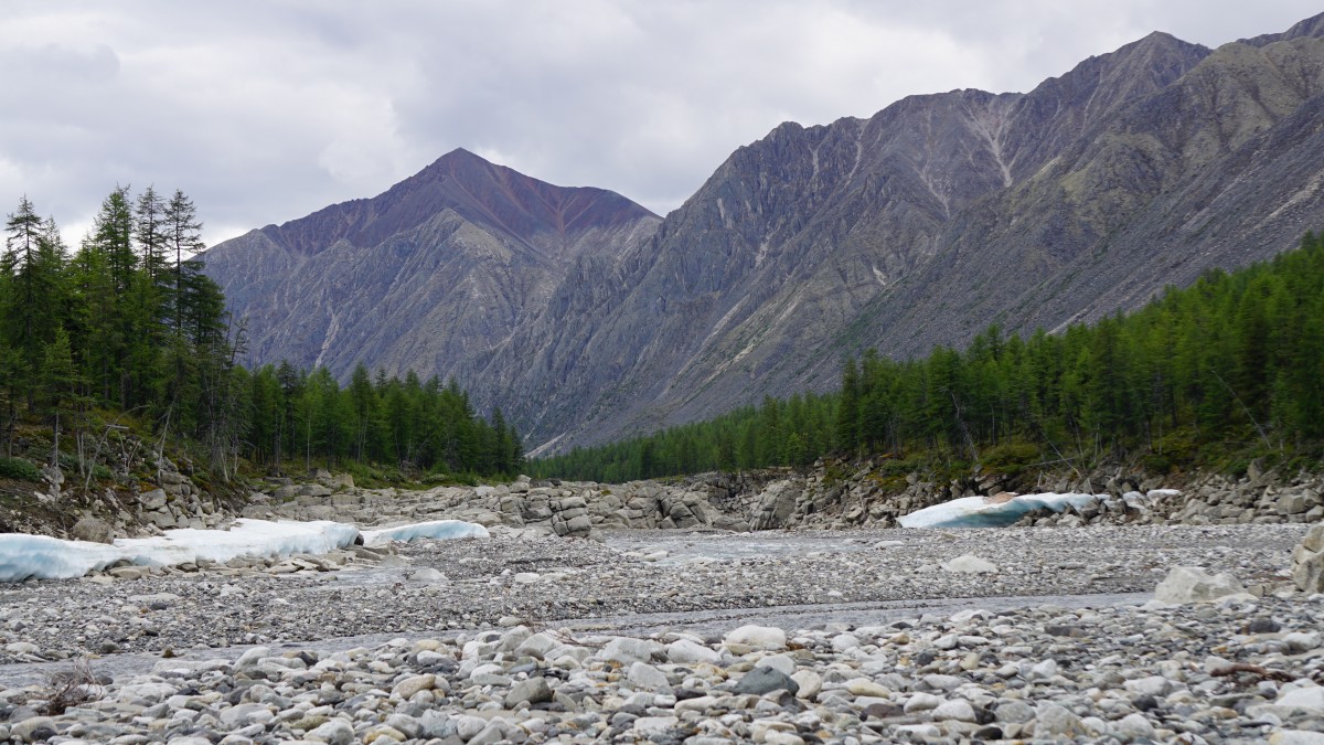 DSC00268 [Оригинальный размер].jpg