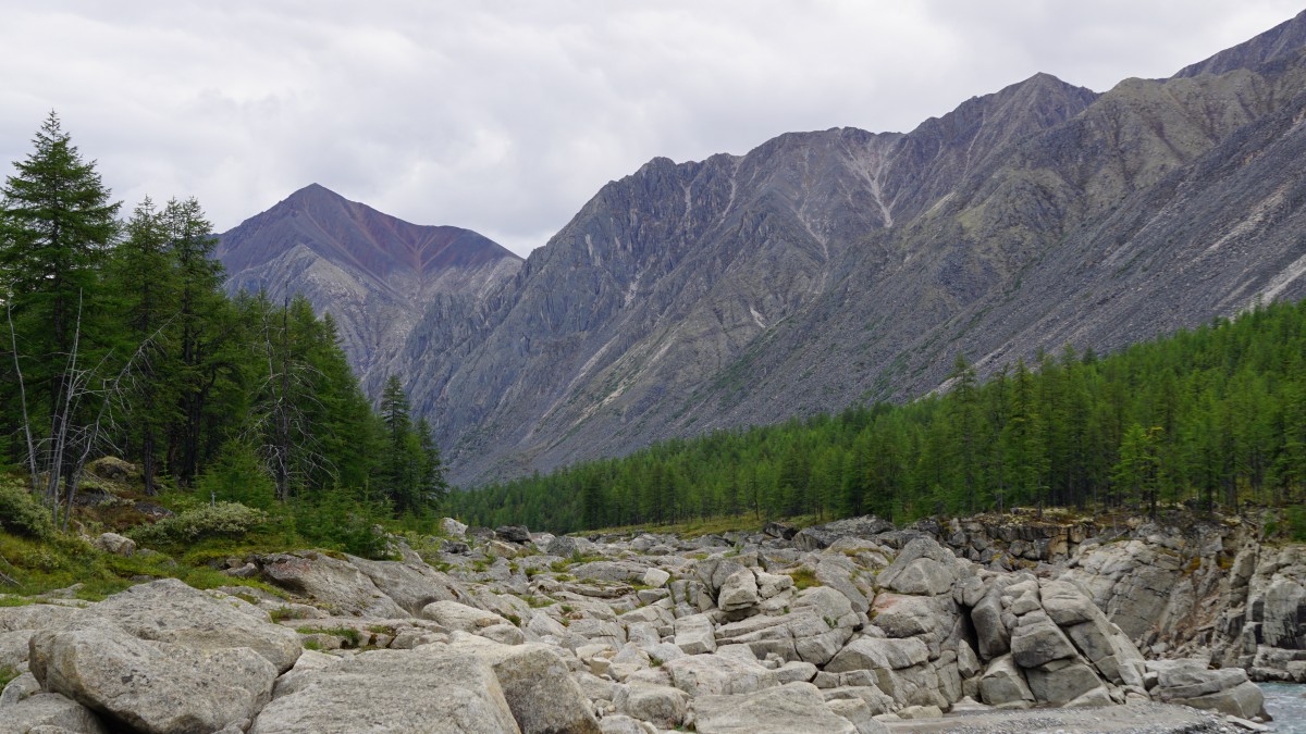 DSC00271 [Оригинальный размер].jpg