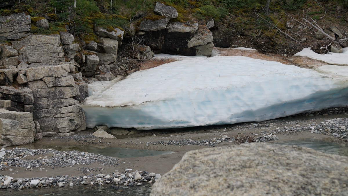 DSC00272 [Оригинальный размер].jpg