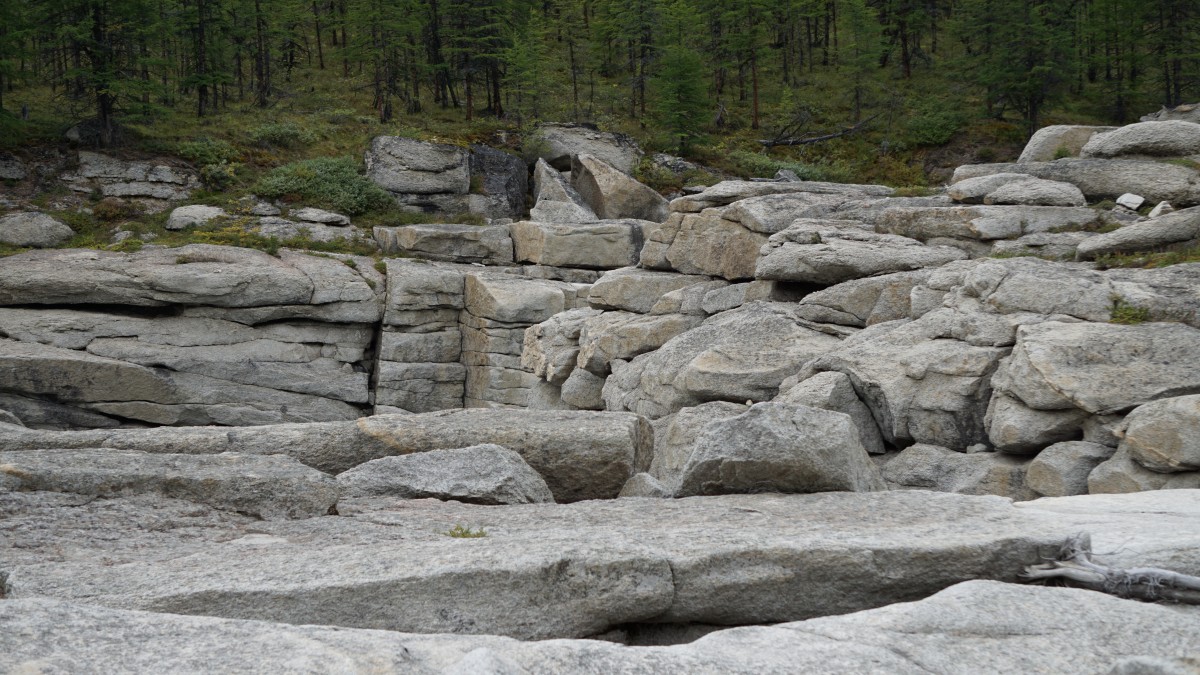 DSC00275 [Оригинальный размер].jpg