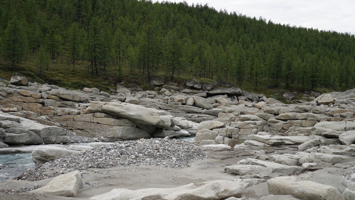 DSC00277 [Оригинальный размер].jpg