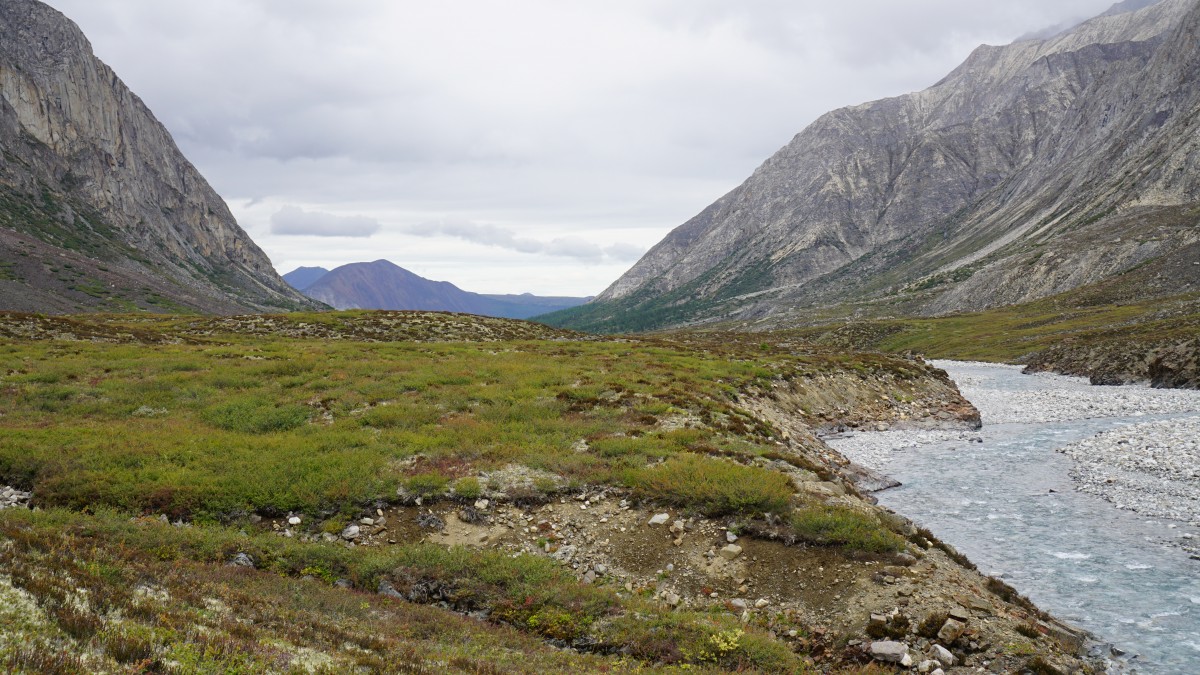 DSC00282 [Оригинальный размер].jpg