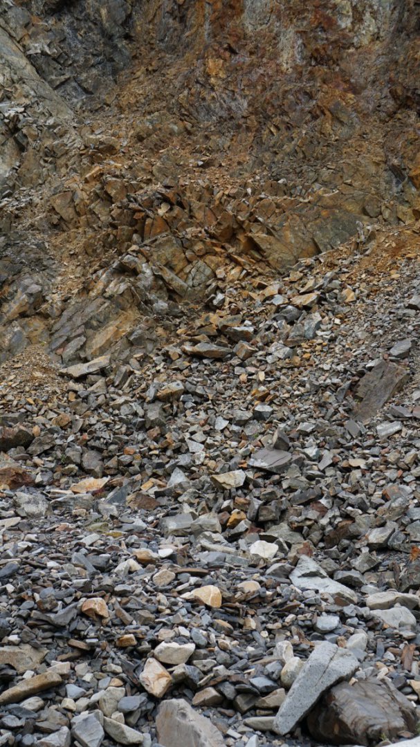 DSC00297 [Оригинальный размер].jpg