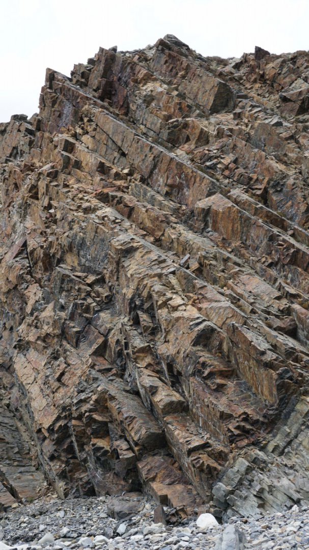 DSC00305 [Оригинальный размер].jpg
