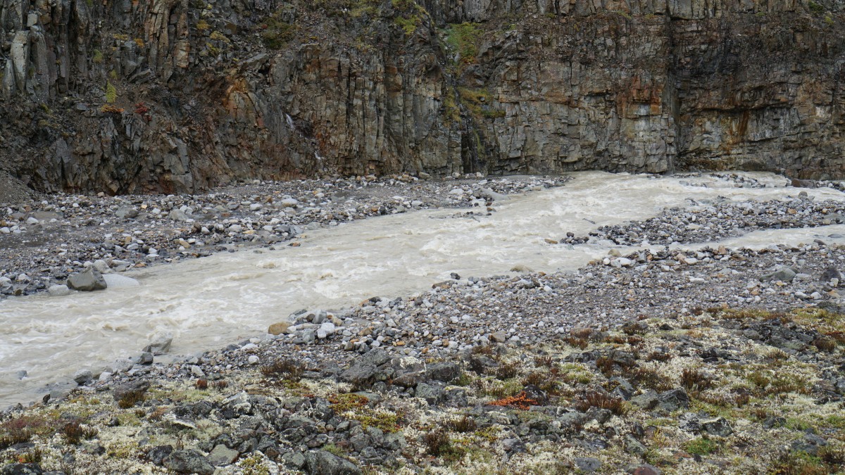 DSC00313 [Оригинальный размер].jpg