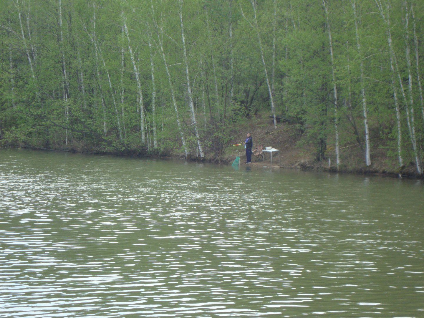 DSC00316.JPG