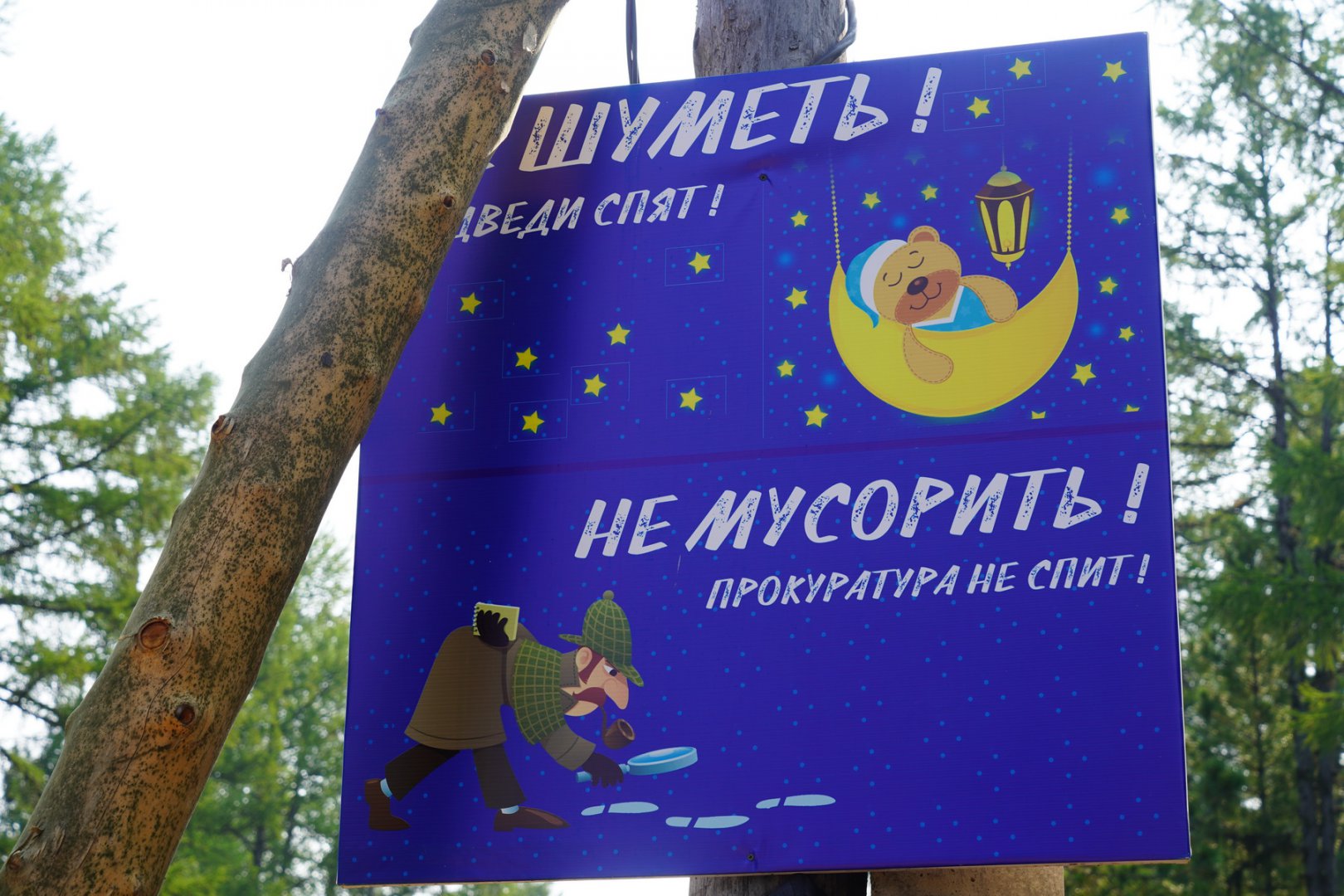 DSC00324_новый размер.JPG