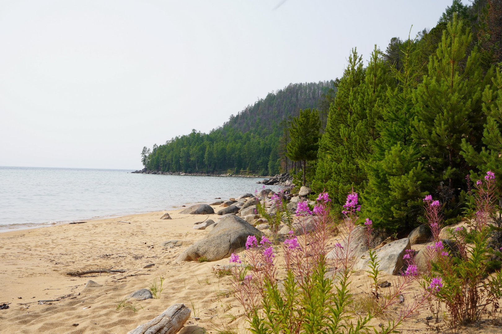 DSC00342_новый размер.JPG