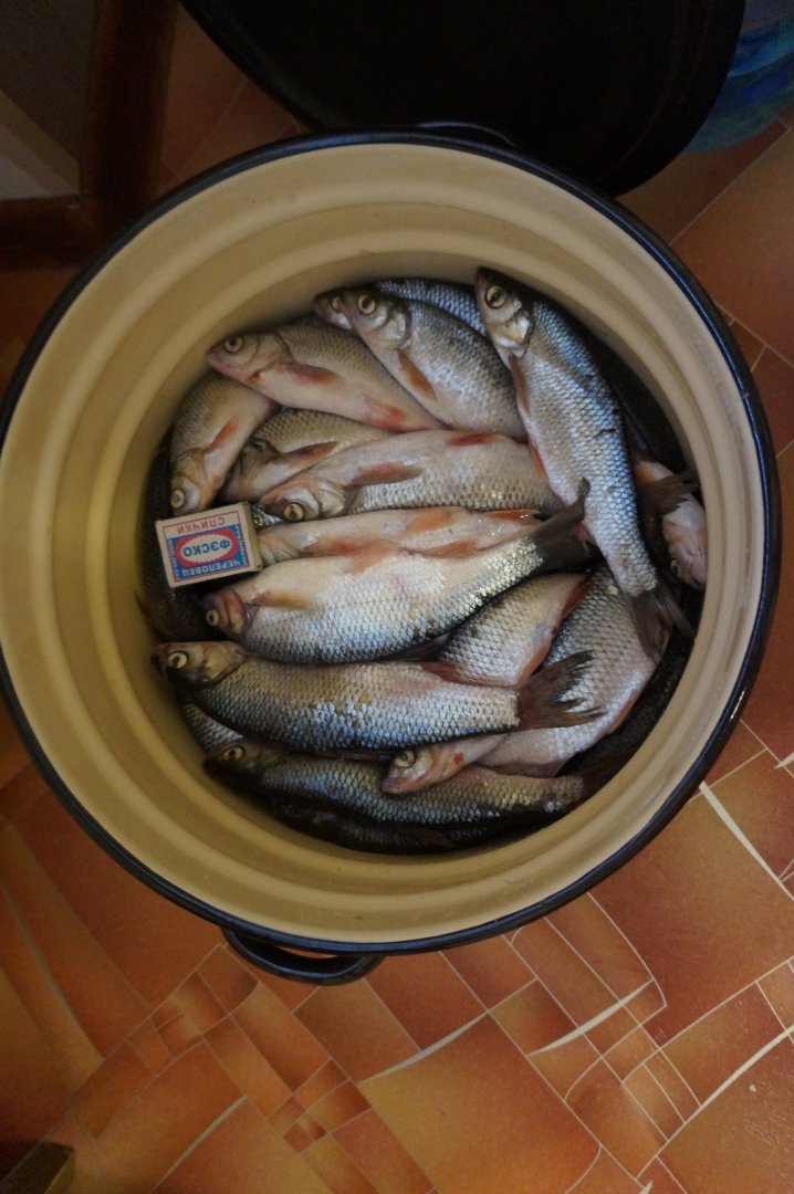 DSC00355.JPG DSC00355.JPG