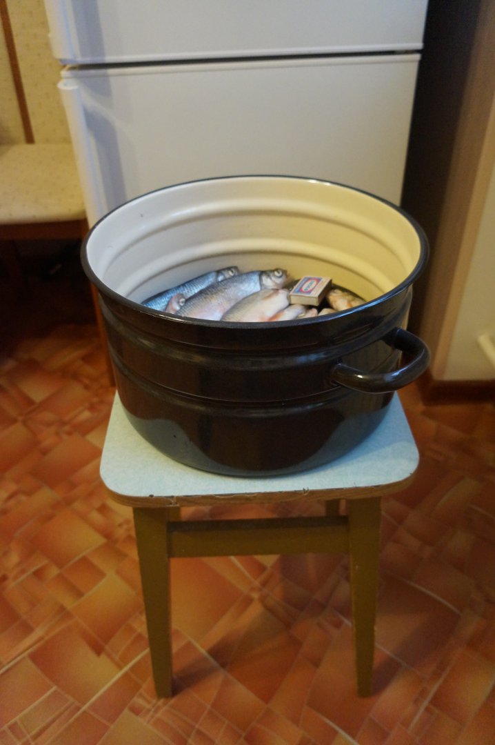 DSC00356.JPG DSC00356.JPG