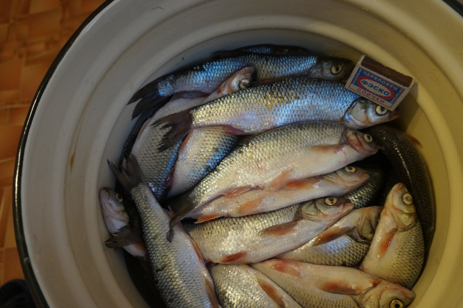 DSC00357.JPG DSC00357.JPG