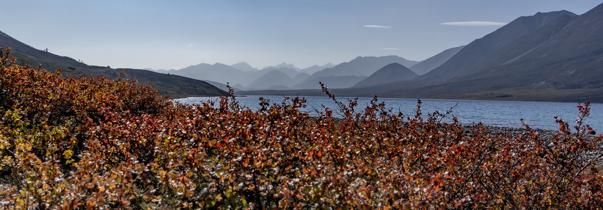 DSC00366_.jpg