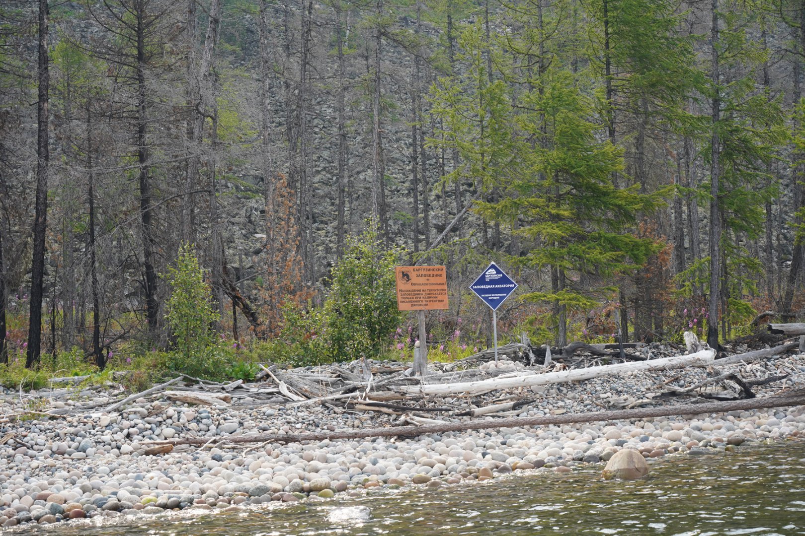 DSC00367_новый размер.JPG