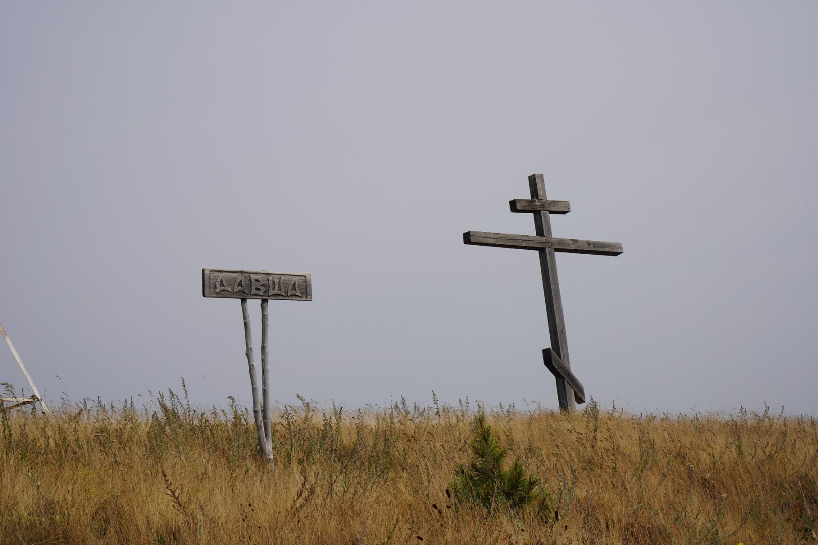 DSC00368_новый размер.JPG