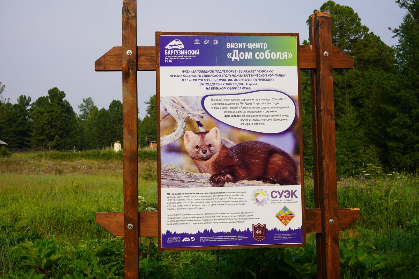 DSC00374_новый размер.JPG