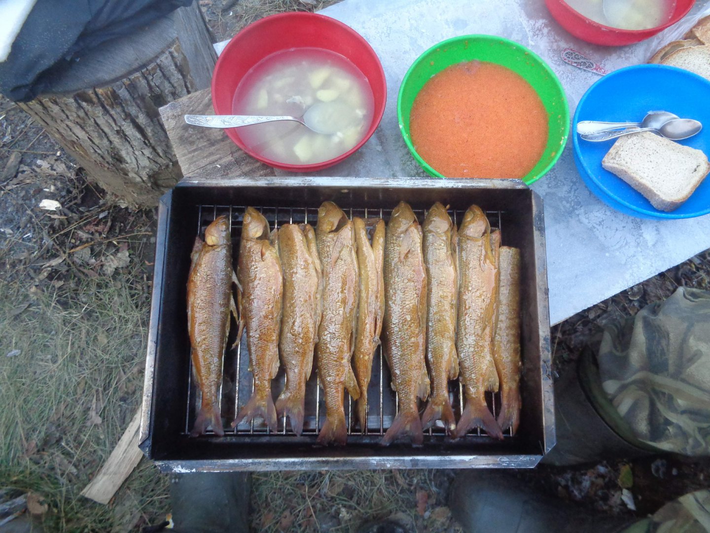 DSC00375.jpg