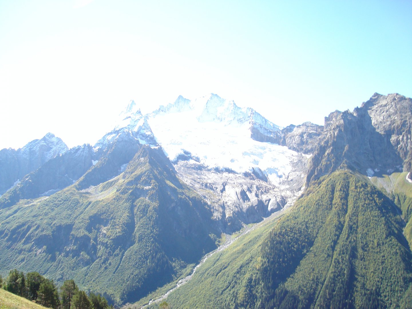 DSC00381.JPG