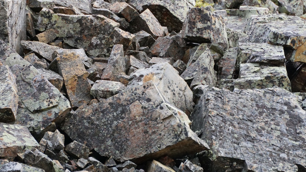 DSC00381 [Оригинальный размер].jpg