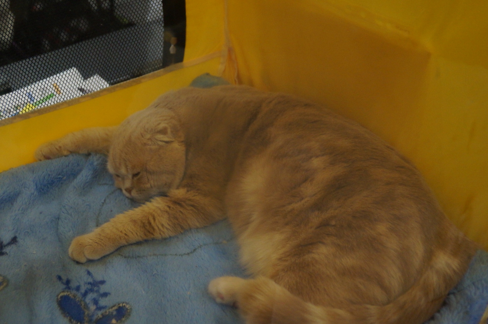 DSC00385.JPG