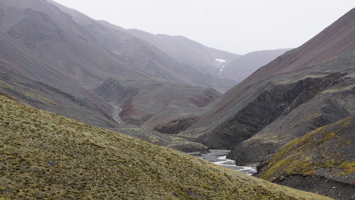 DSC00385 [Оригинальный размер].jpg