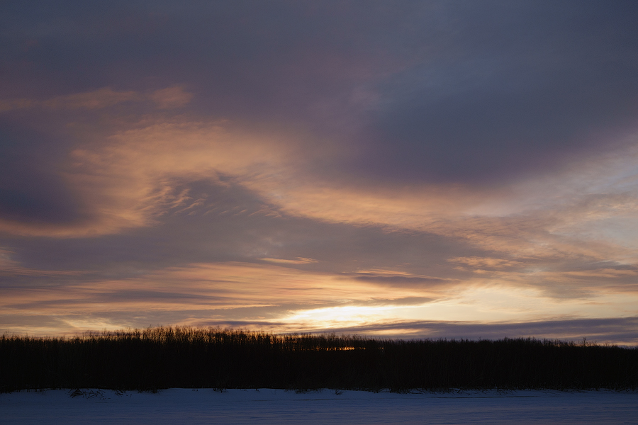 DSC00389.jpg