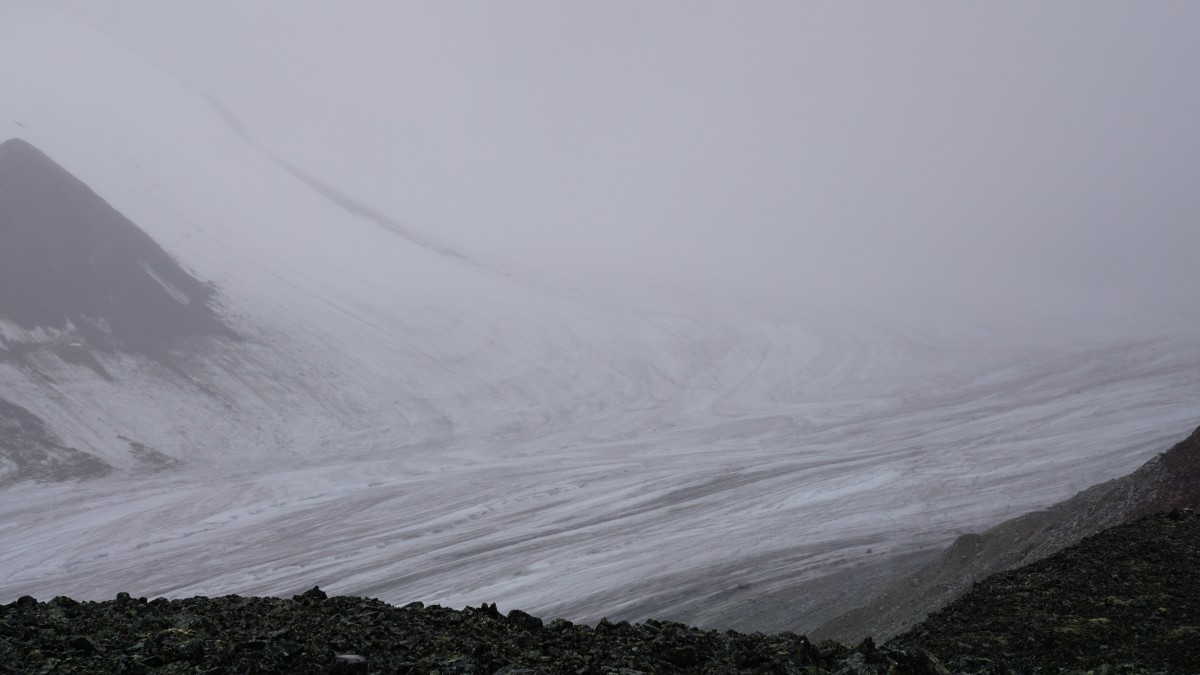 DSC00391 [Оригинальный размер].jpg