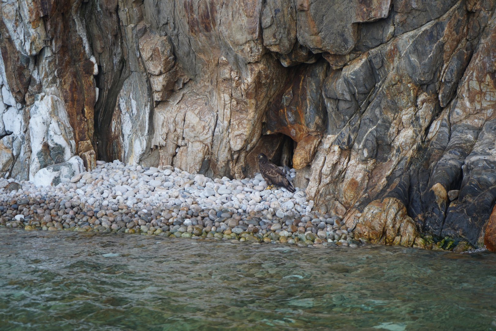 DSC00399_новый размер.JPG