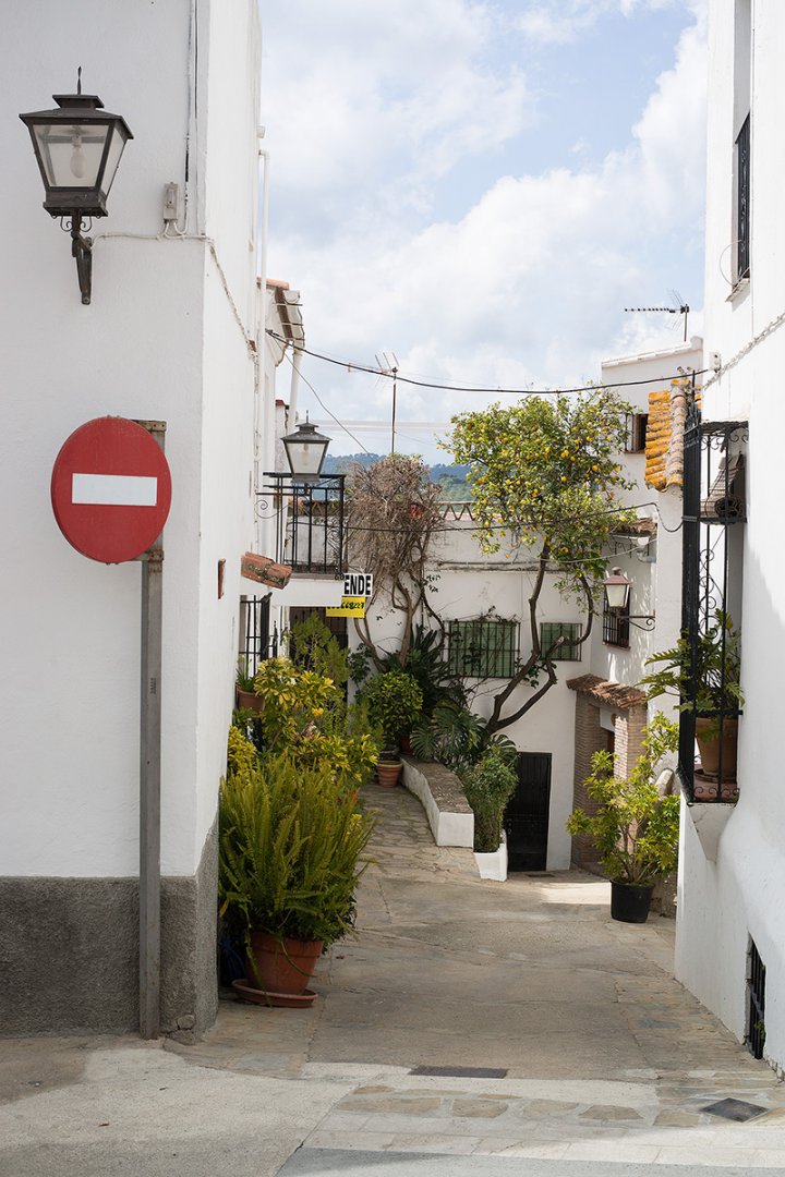 DSC00406.jpg