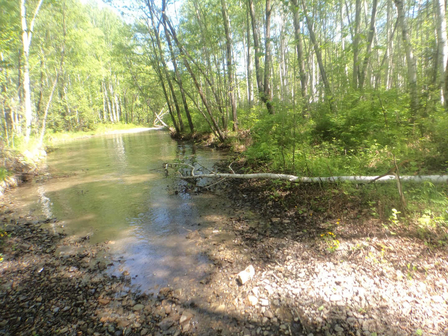 DSC00425.JPG