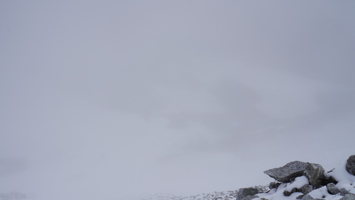 DSC00425 [Оригинальный размер].jpg