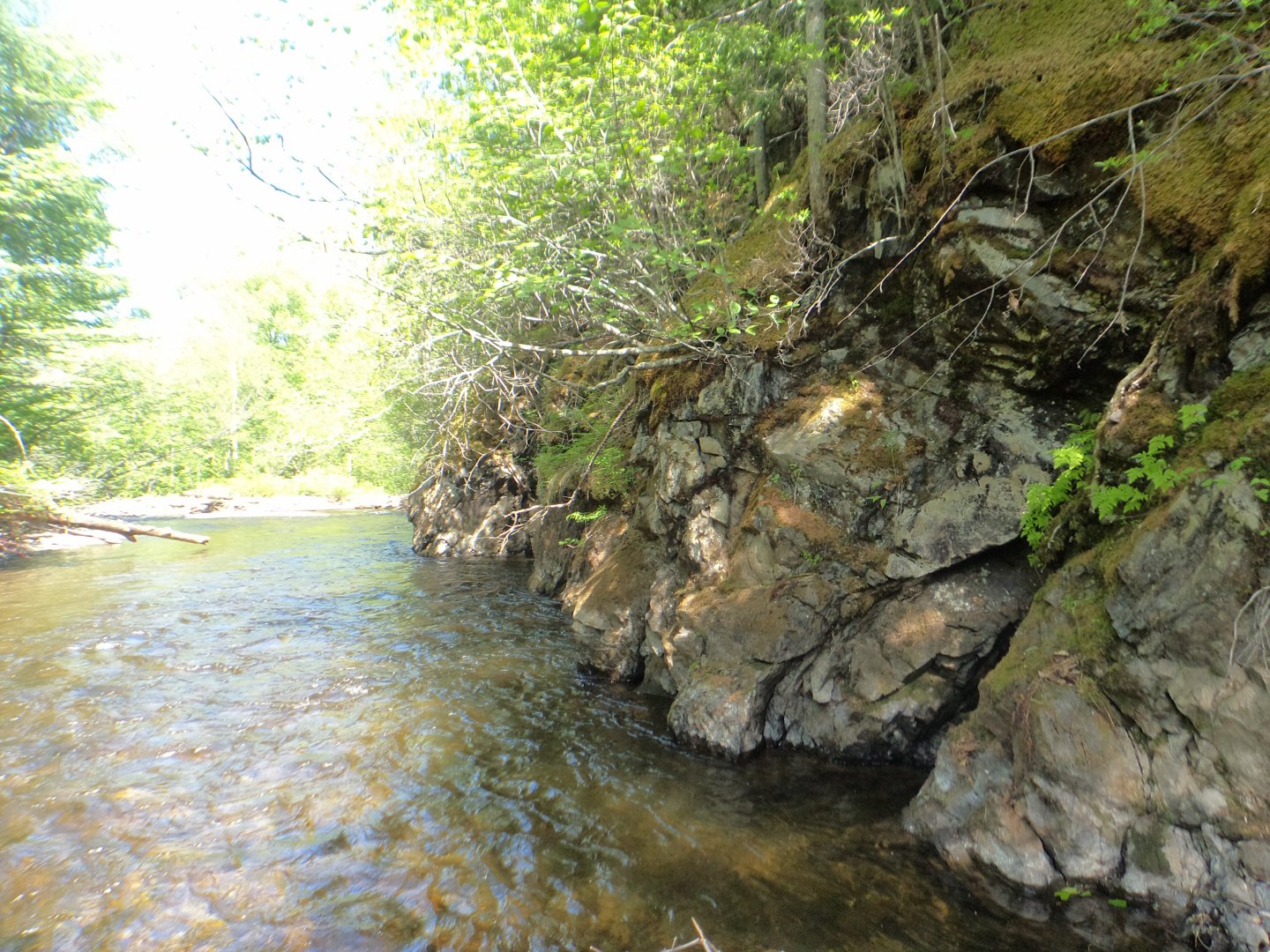DSC00458.JPG